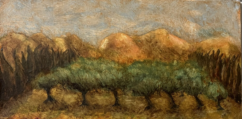 Oliveraie dans les Alpilles.
